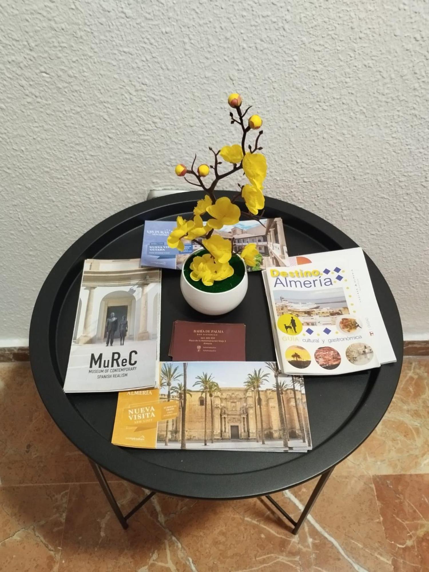 Piso Museo Del Realismo - Catedral - Alcazaba Con Parking Gratis - Super Wifi Apartment Алмерия Екстериор снимка